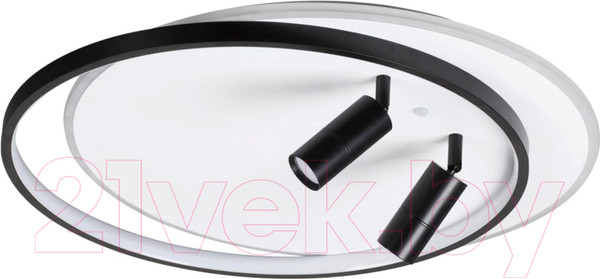 Изображение товара Потолочный светильник Lumion Naoko 5603/75CL