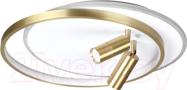 Изображение товара Потолочный светильник Lumion Naoko 5603/63CL