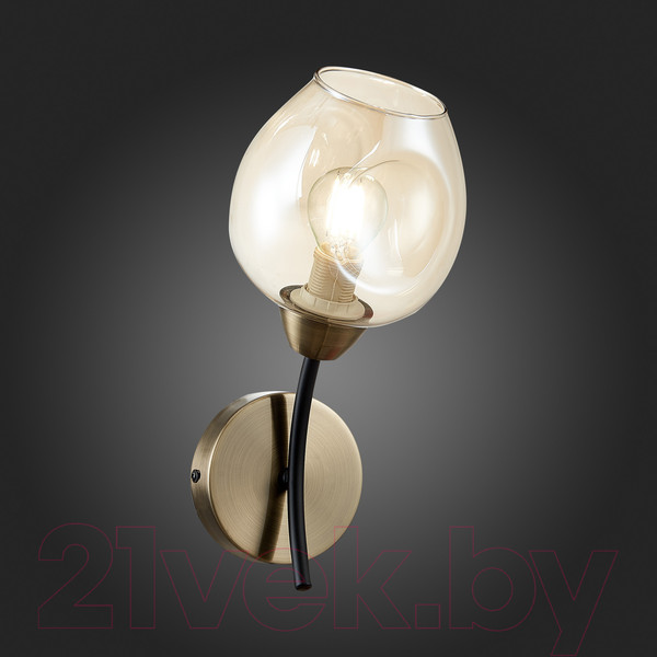 Изображение товара Бра Evoluce SLE205301-01