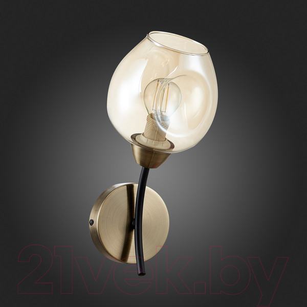 Изображение товара Бра Evoluce SLE205301-01