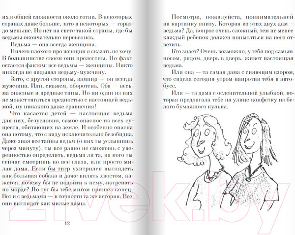 Изображение товара Книга Издательство Самокат Ведьмы (Даль Р.)