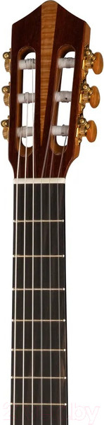 Изображение товара Акустическая гитара Kremona TS Tangra Artist Series