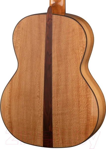 Изображение товара Акустическая гитара Kremona TS Tangra Artist Series