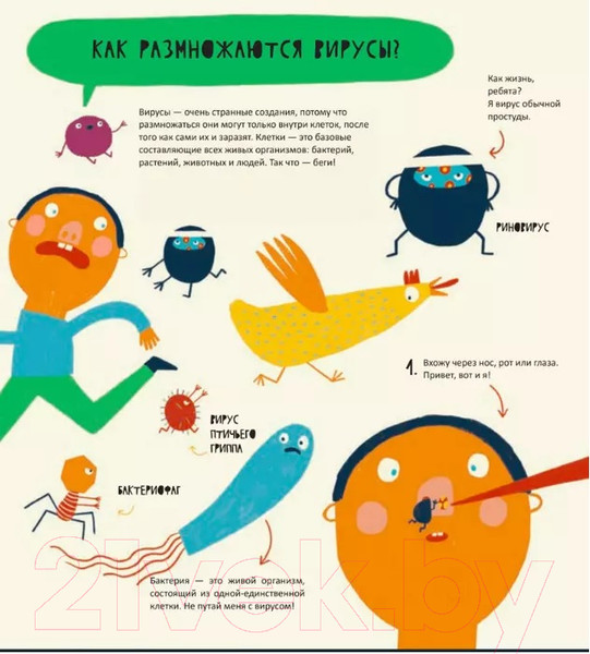 Изображение товара Энциклопедия Издательство Самокат Тайная жизнь вирусов