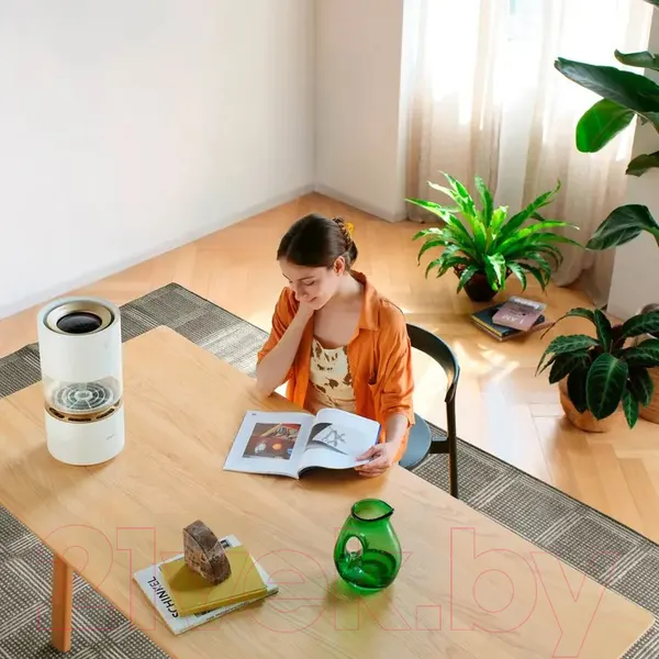Изображение товара Традиционный увлажнитель воздуха SmartMi Humidifier Rainforest CJJSQ06ZM