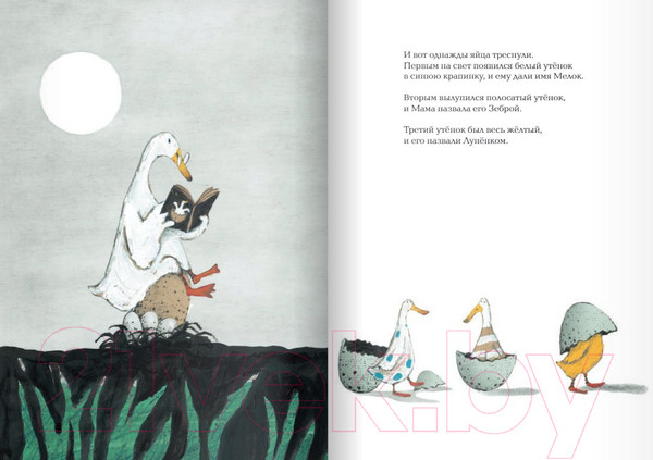 Изображение товара Книга Издательство Самокат Кра-Кра (Чжиюань Чэнь)