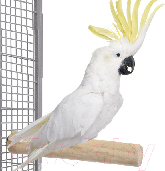 Изображение товара Жердочка для птиц Happy Bird Ветвь кофейная XL / H71002