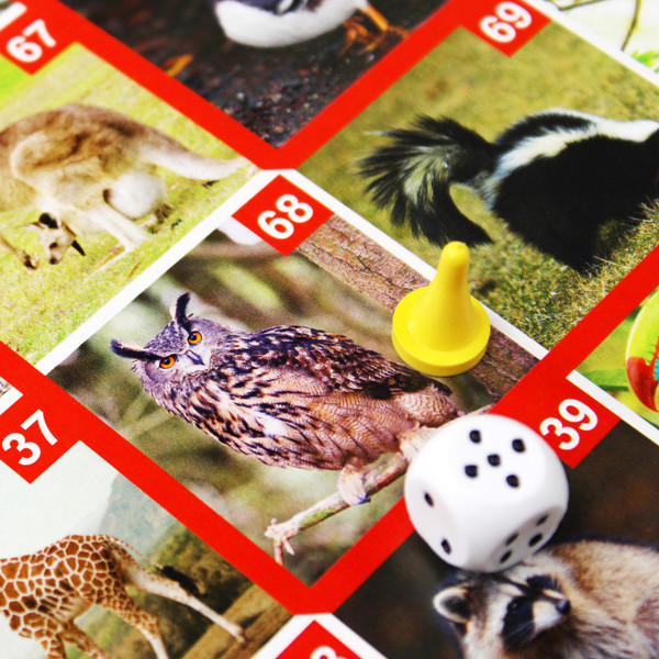 Изображение товара Настольная игра Десятое королевство ФОТОвикторина. Звери и птицы / 02719