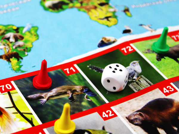 Изображение товара Настольная игра Десятое королевство ФОТОвикторина. Звери и птицы / 02719