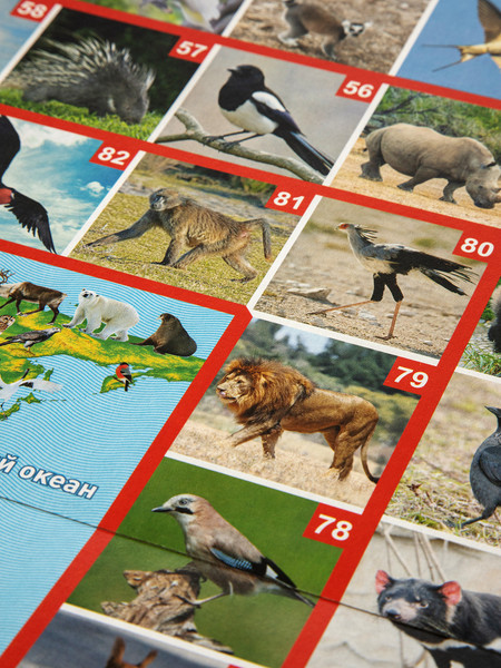 Изображение товара Настольная игра Десятое королевство ФОТОвикторина. Звери и птицы / 02719