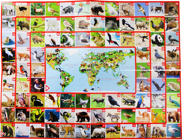 Изображение товара Настольная игра Десятое королевство ФОТОвикторина. Звери и птицы / 02719