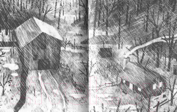 Изображение товара Книга Издательство Самокат Пакс (Пеннипакер С.)