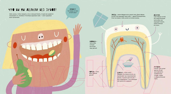 Изображение товара Энциклопедия Издательство Самокат Тайная жизнь зубов (Марагаль М.)