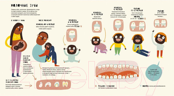 Изображение товара Энциклопедия Издательство Самокат Тайная жизнь зубов (Марагаль М.)