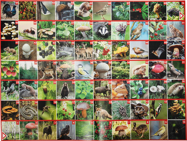 Изображение товара Настольная игра Десятое королевство ФОТОвикторина. Прогулка по лесу / 04046