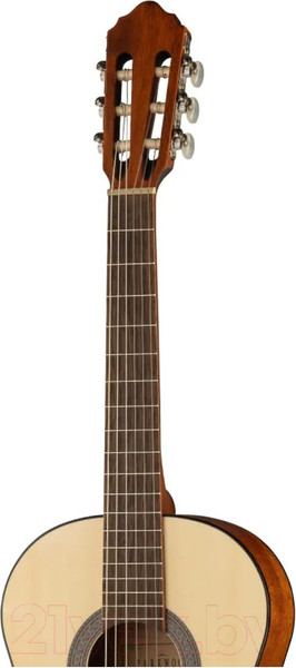 Изображение товара Акустическая гитара Parkwood PC90-WBAG-OP (с чехлом)