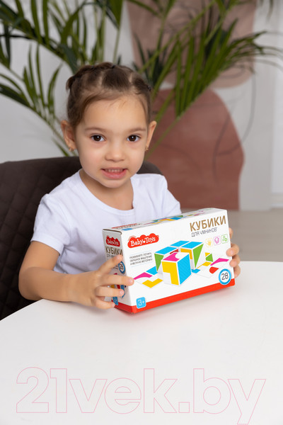 Изображение товара Развивающий игровой набор Baby Toys Кубики для умников / 04310