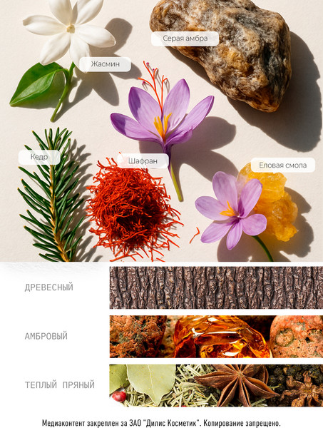 Изображение товара Духи Dilis Niche Collection Amber Rouge (50мл)