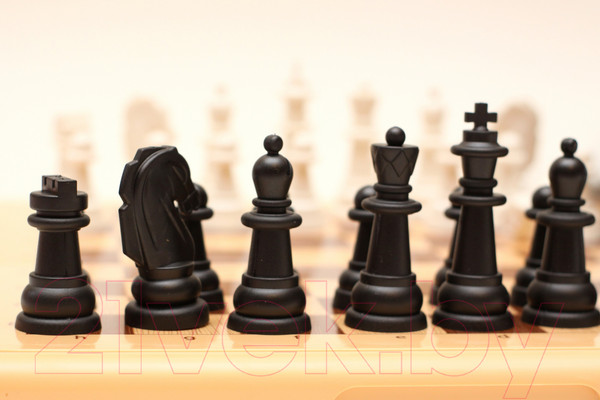 Изображение товара Шахматы Десятое королевство Шахматы / 03891