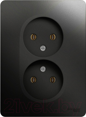 Изображение товара Розетка Systeme (Schneider) Electric Glossa GSL000720