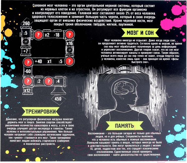 Изображение товара Набор головоломок Puzzle Мозг человека / 3302583