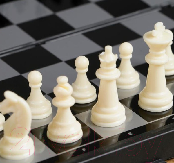 Изображение товара Набор настольных игр Sima-Land 3 в 1 Зук / 2590528