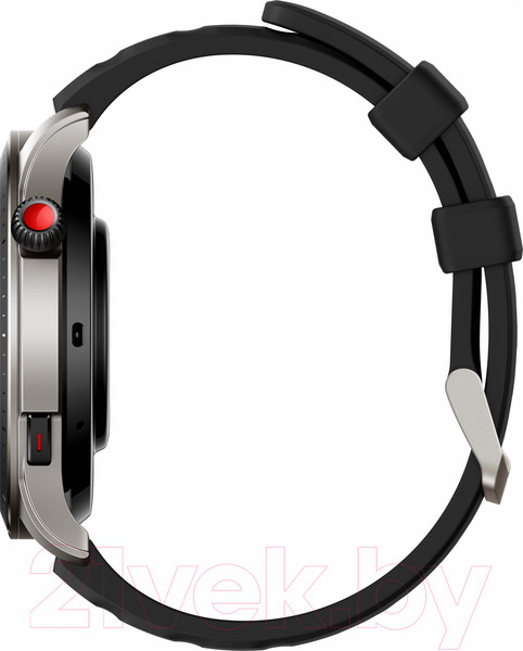 Изображение товара Умные часы Amazfit GTR 4 / A2166 (черный)