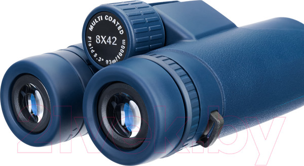 Изображение товара Бинокль Levenhuk Discovery Elbrus 8x42 / 1116577