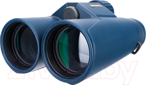 Изображение товара Бинокль Levenhuk Discovery Elbrus 8x42 / 1116577