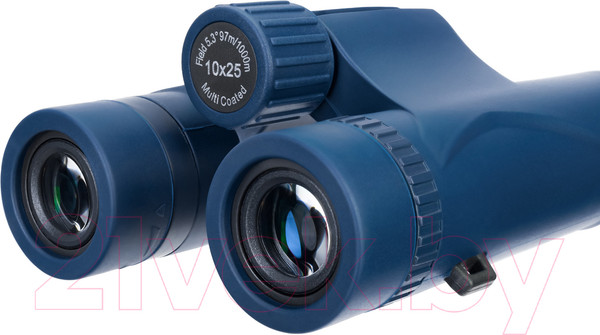 Изображение товара Бинокль Levenhuk Discovery Elbrus 8x25 / 79578