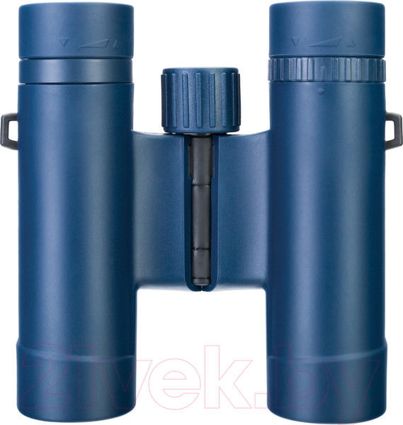 Изображение товара Бинокль Levenhuk Discovery Elbrus 8x25 / 79578
