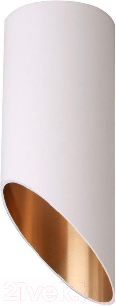 Изображение товара Спот ЭРА OL26 WH / Б0055576 (белый)