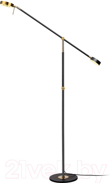 Изображение товара Торшер Odeon Light Denzel 4321/20FL