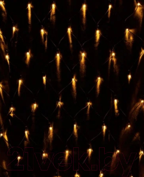 Изображение товара Светодиодная сеть TDM SQ0361-0063