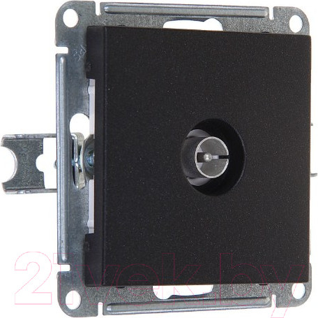 Изображение товара Розетка Systeme (Schneider) Electric W59 RTS-151-6-86