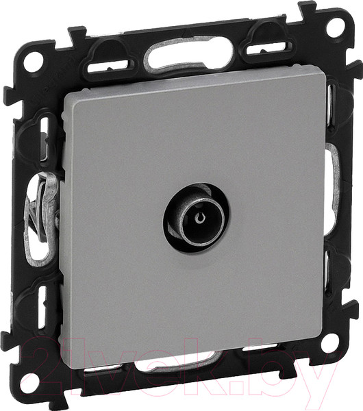 Изображение товара Розетка Legrand Valena Life 753660 (алюминий)