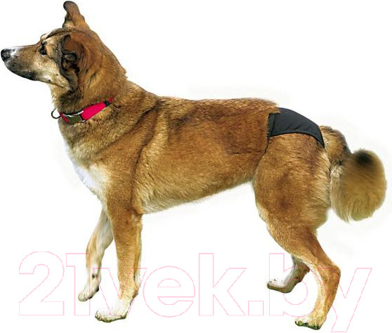 Изображение товара Гигиенические трусики для животных Trixie 23495 (XL, черный)