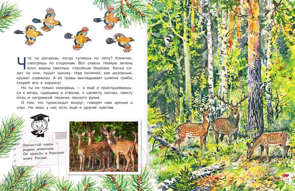 Изображение товара Книга АСТ Для чего коту усы? (Танасийчук В.Н.)