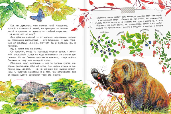 Изображение товара Книга АСТ Для чего коту усы? (Танасийчук В.Н.)