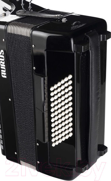 Изображение товара Аккордеон Aurus JH2017-B 37/96/7/2 (черный, с футляром)