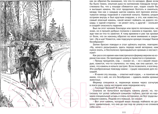 Изображение товара Книга Махаон Черный Красавчик (Сьюэлл А.)