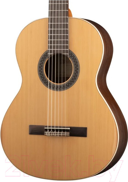 Изображение товара Акустическая гитара Alhambra 1C HT 4/4 / 799 (с чехлом)