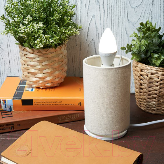 Изображение товара Лампа Rexant 604-028