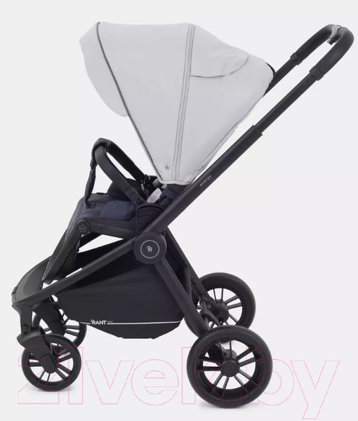 Изображение товара Детская универсальная коляска Rant Energy Basic 3 в 1 / RA092 (серый)