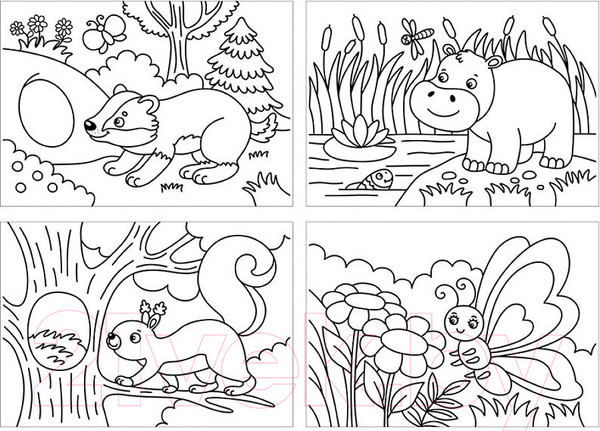 Изображение товара Раскраска Мульти-пульти Кто где живет / РА5п_44743