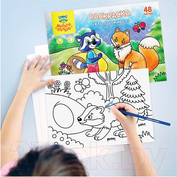 Изображение товара Раскраска Мульти-пульти Кто где живет / РА5п_44743
