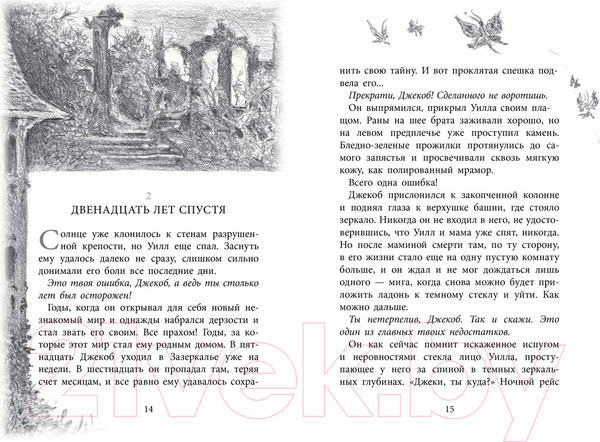 Изображение товара Книга Азбука Бесшабашный. Книга 1. Камень во плоти (Функе К.)