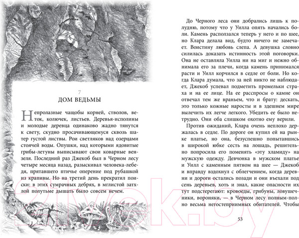Изображение товара Книга Азбука Бесшабашный. Книга 1. Камень во плоти (Функе К.)