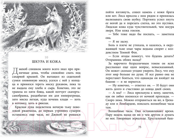 Изображение товара Книга Азбука Бесшабашный. Книга 1. Камень во плоти (Функе К.)