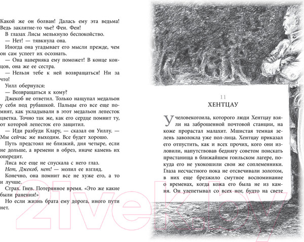 Изображение товара Книга Азбука Бесшабашный. Книга 1. Камень во плоти (Функе К.)